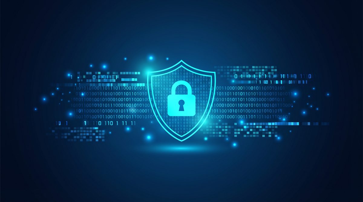 蝼蚁加速器隐私安全保护